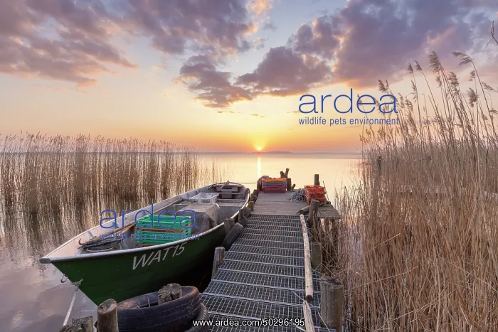: Fisher Warthe : Fisher Warthe