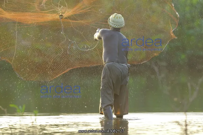  : a fisherman