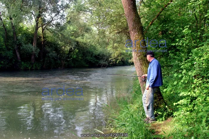: Fisherman / Angler - hoping to catch European Chub : Fisherman / Angler - hoping to catch European Chub