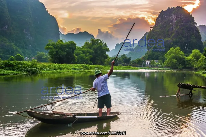 : Fisherman on boat in Trang An, a scenic area near : Fisherman on boat in Trang An, a scenic area near