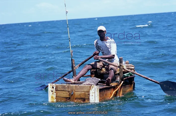 : Fisherman hand lining for squid : Fisherman hand lining for squid