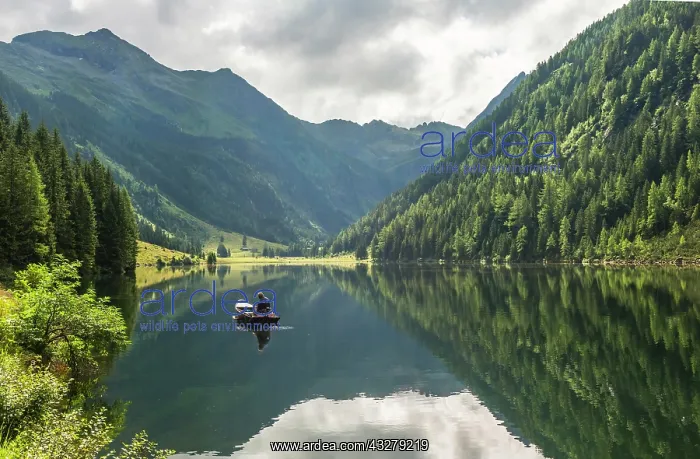 : Fisherman on Lake Riesachsee with reflection of : Fisherman on Lake Riesachsee with reflection of
