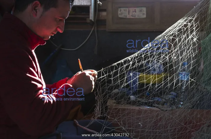 : Fisherman repairs a net in his fisherman's cottage : Fisherman repairs a net in his fisherman's cottage
