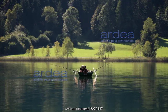 : Fisherman in a rowing boat in the morning on Weissensee : Fisherman in a rowing boat in the morning on Weissensee