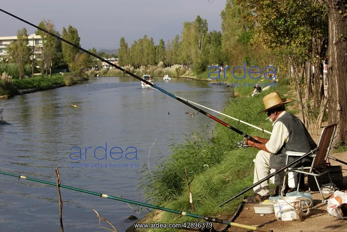 : Fisherman - by The Sianne before it reaches the : Fisherman - by The Sianne before it reaches the