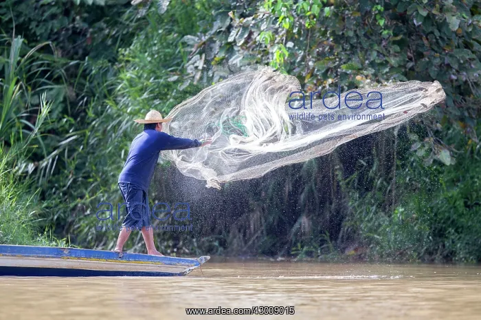 : Fisherman throwing net from boat : Fisherman throwing net from boat
