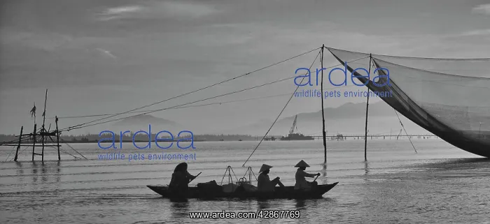 : Fisherman - on the Thun Bon River near Hoi An : Fisherman - on the Thun Bon River near Hoi An