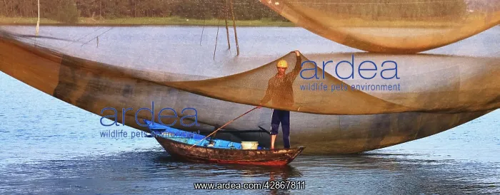 : Fisherman - on the Thun Bon River near Hoi An : Fisherman - on the Thun Bon River near Hoi An