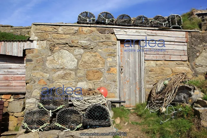 : Fishermans Hut : Fishermans Hut