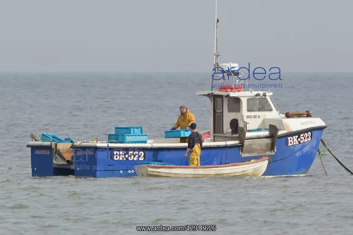 : Fishermen - with boat : Fishermen - with boat