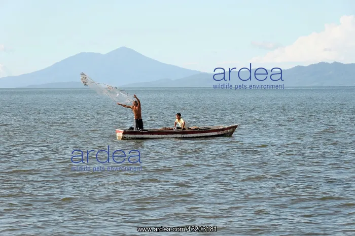 : Fishermen in a boat at San Jorge, Lake Nicaragua : Fishermen in a boat at San Jorge, Lake Nicaragua