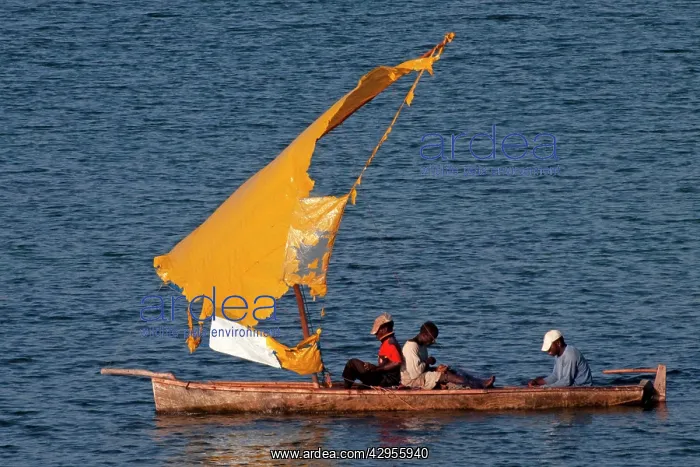 : Fishermen - in boat with torn sail : Fishermen - in boat with torn sail