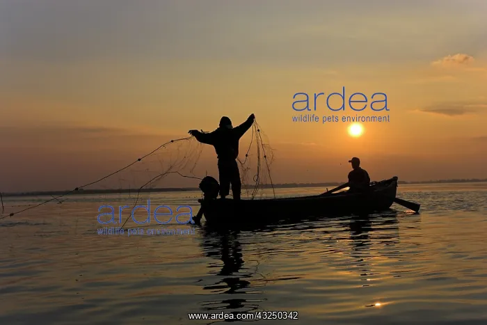  : Fishermen in the Danube Delta in Romania