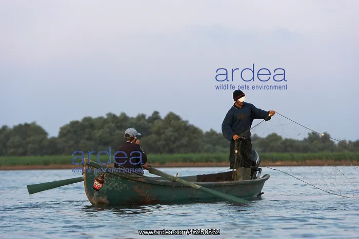 : Fishermen in the Danube Delta in Romania : Fishermen in the Danube Delta in Romania