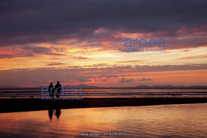 : Two fishermen enjoying the last cast looking towards : Two fishermen enjoying the last cast looking towards