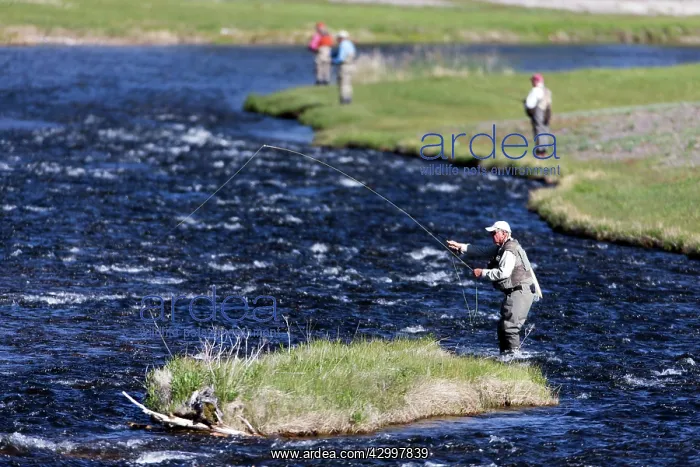 : Fishermen - on Firehole River Yellowstone National : Fishermen - on Firehole River Yellowstone National