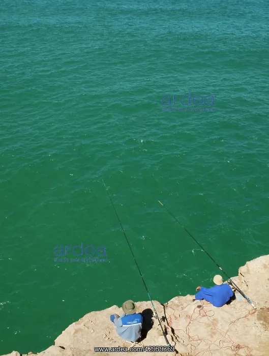 : Fishermen on high cliffs above the Atlantic Ocean : Fishermen on high cliffs above the Atlantic Ocean