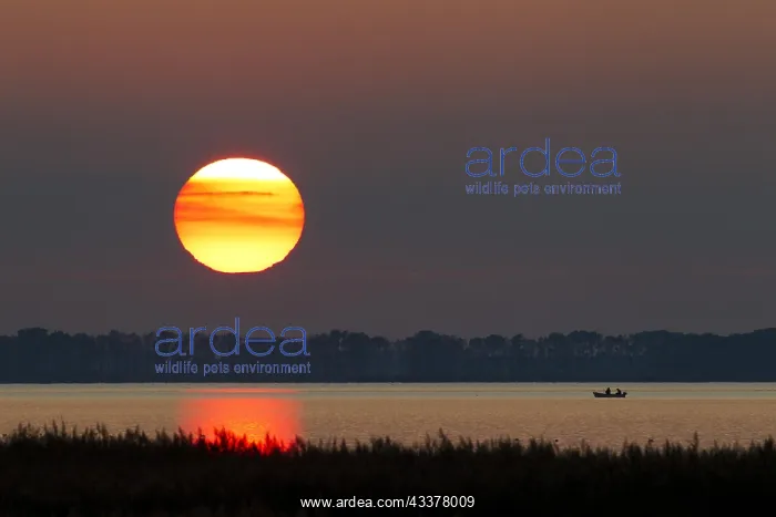 : Fishermen in rowing-boat on lake at sunset, Western : Fishermen in rowing-boat on lake at sunset, Western