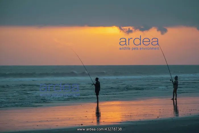 : Fishermen standing on the beach, Kerambitan, Bali : Fishermen standing on the beach, Kerambitan, Bali