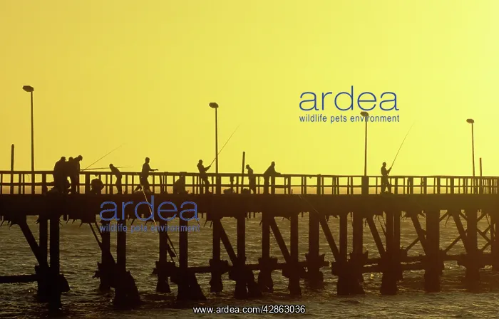 : Fishermen - sunset over the Atlantic Ocean at the : Fishermen - sunset over the Atlantic Ocean at the