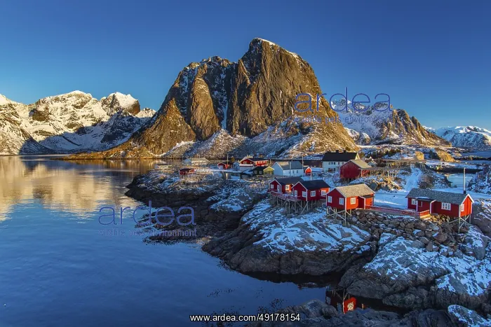 : Fishermen's Village in front of snowy mountain range at the coastline in winter : Fishermen's Village in front of snowy mountain range at the coastline in winter