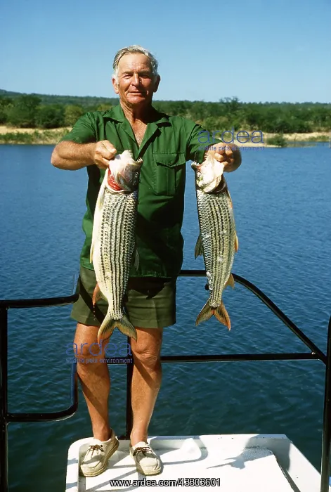 : FISHING - ANGLER WITH TIGERFISH : FISHING - ANGLER WITH TIGERFISH