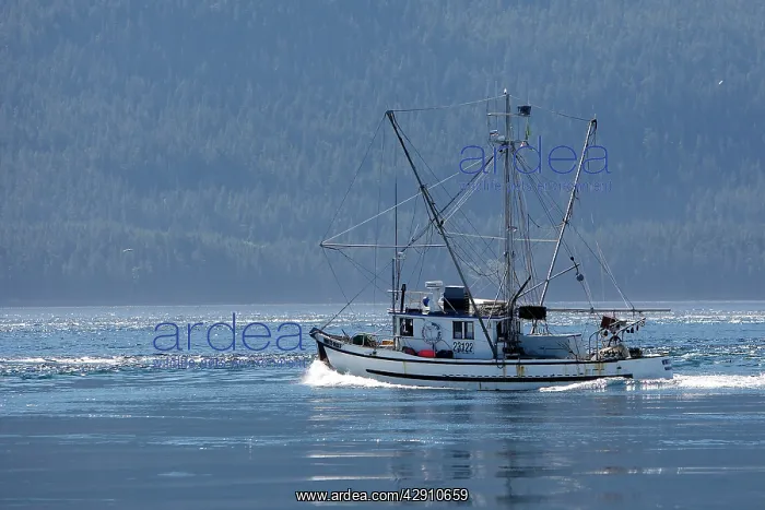 : Fishing boat : Fishing boat