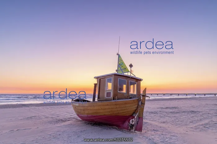 : Fishing boat Ahlbeck : Fishing boat Ahlbeck