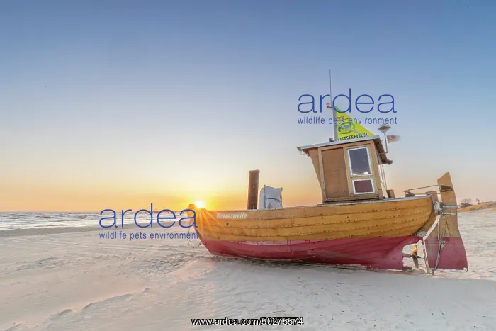: Fishing boat Ahlbeck : Fishing boat Ahlbeck