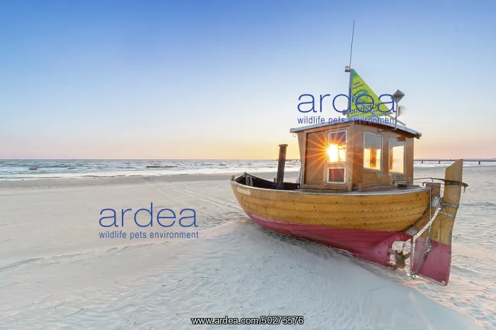 : Fishing boat Ahlbeck : Fishing boat Ahlbeck