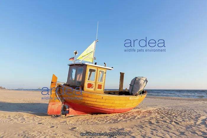 : Fishing boat Ahlbeck : Fishing boat Ahlbeck