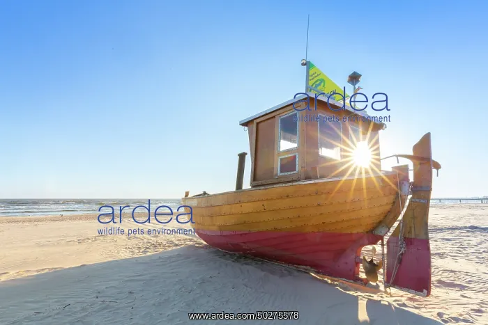 : Fishing boat Ahlbeck : Fishing boat Ahlbeck