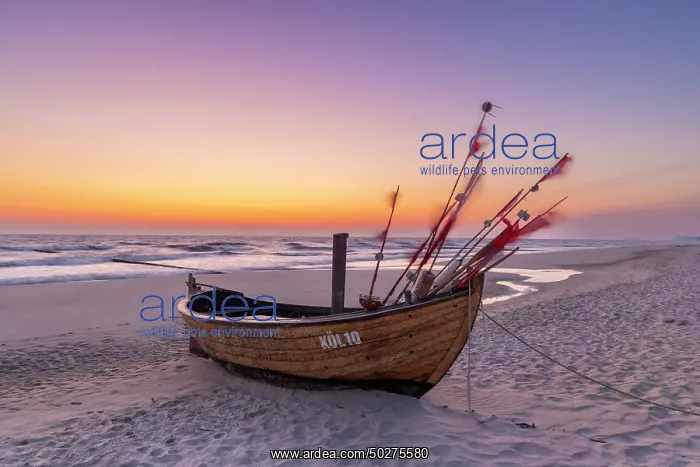 : Fishing boat Ahlbeck : Fishing boat Ahlbeck