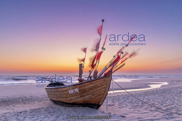 : Fishing boat Ahlbeck : Fishing boat Ahlbeck
