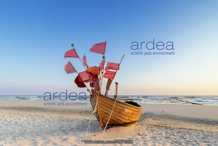 : Fishing boat Ahlbeck : Fishing boat Ahlbeck