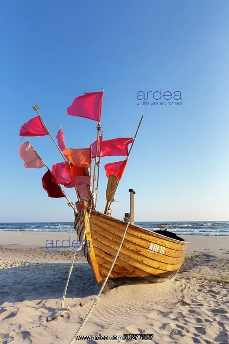 : Fishing boat Ahlbeck : Fishing boat Ahlbeck