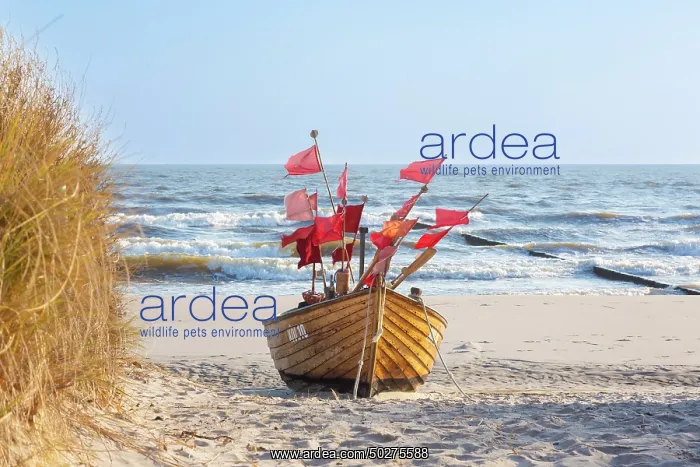 : Fishing boat Ahlbeck : Fishing boat Ahlbeck