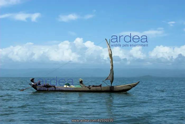 : Fishing boat close to the island of Nosy Mangabe : Fishing boat close to the island of Nosy Mangabe