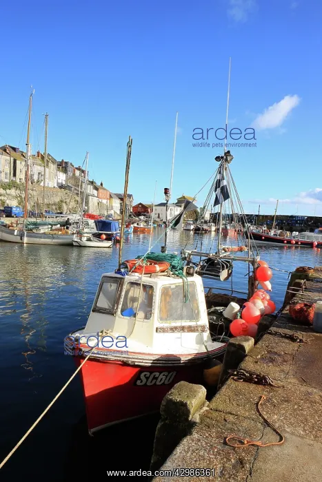 : Fishing Boat - in harbour : Fishing Boat - in harbour