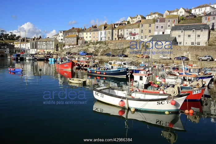 : Fishing Boat - in harbour : Fishing Boat - in harbour