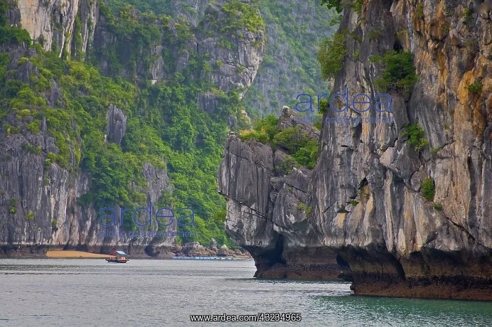 : Fishing boat near karst formations, Cat : Fishing boat near karst formations, Cat