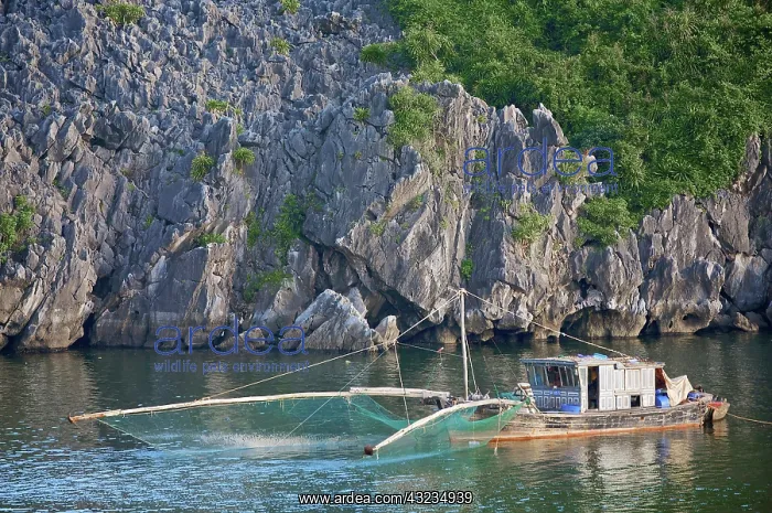 : Fishing boat with net, Cat Ba National Park : Fishing boat with net, Cat Ba National Park