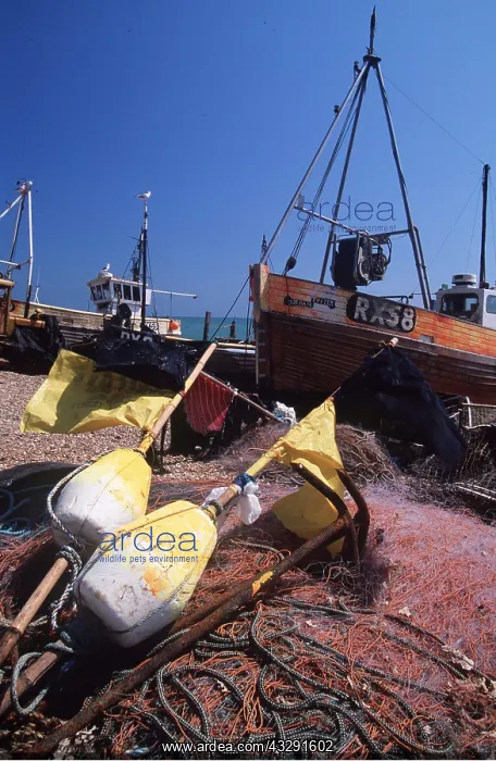 : FISHING BOAT - and nets : FISHING BOAT - and nets