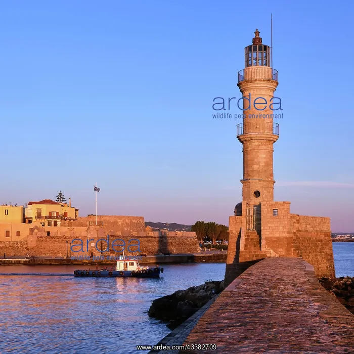 : Fishing boat passing by Egyptian Lighthouse lit : Fishing boat passing by Egyptian Lighthouse lit