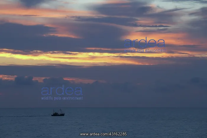 : Fishing boat at sea just after sunset, The Netherlands : Fishing boat at sea just after sunset, The Netherlands