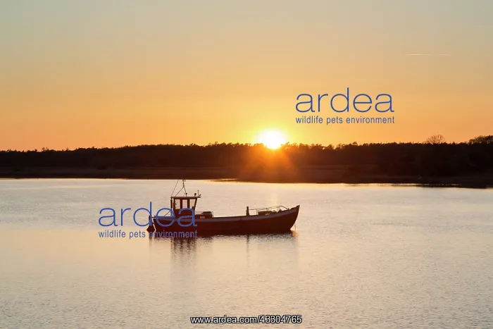 : Fishing boat at sunset - island of Ruegen - Germany : Fishing boat at sunset - island of Ruegen - Germany