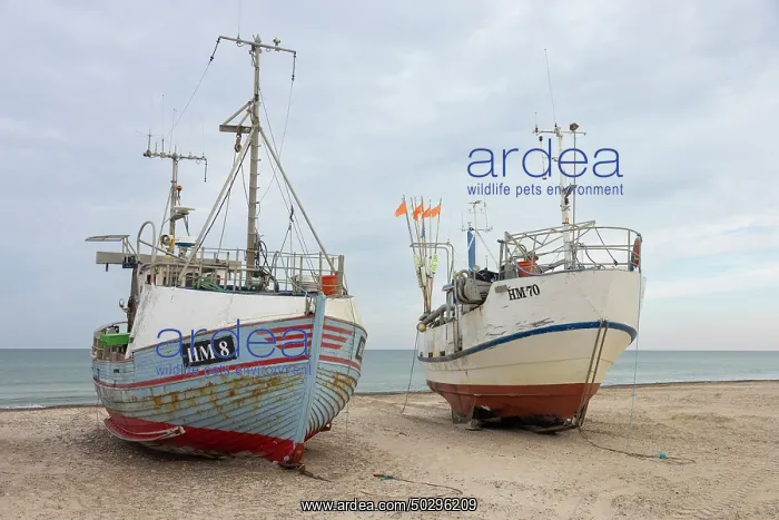: Fishing boat Thorup Strand : Fishing boat Thorup Strand