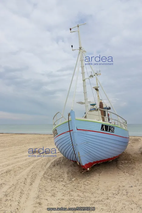 : Fishing boat Thorup Strand : Fishing boat Thorup Strand