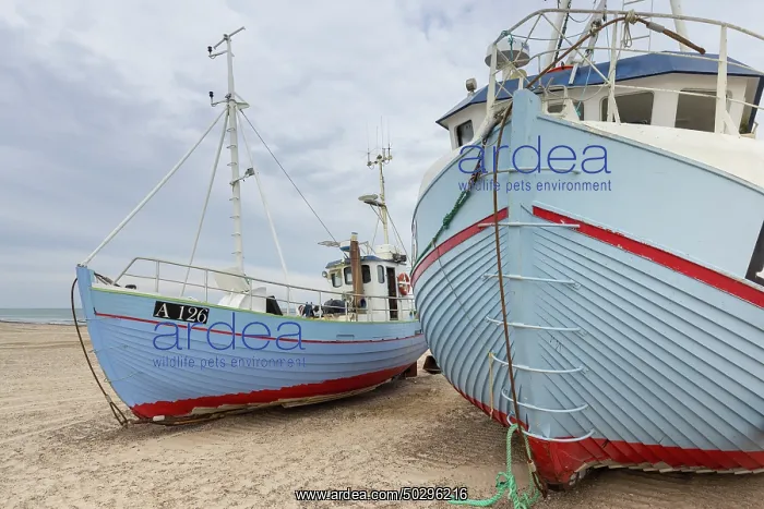 : Fishing boat Thorup Strand : Fishing boat Thorup Strand