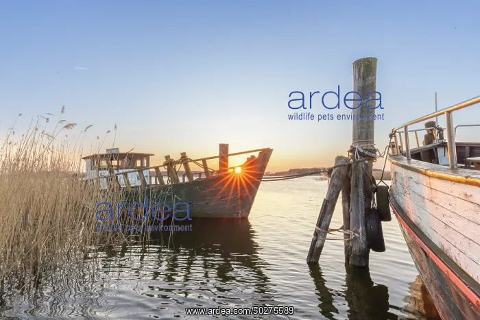 : Fishing boat Zecherin : Fishing boat Zecherin